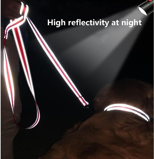 Red Dog Leash